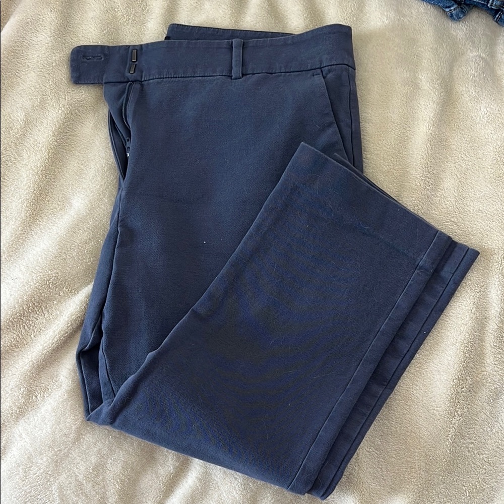 12P Ann Taylor Ankle Pants
